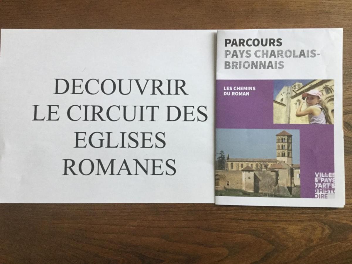 Gite De Belle Vue Semur-en-Brionnais Εξωτερικό φωτογραφία