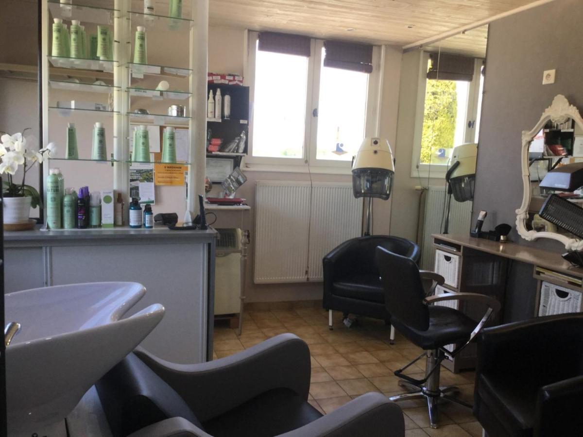 Gite De Belle Vue Semur-en-Brionnais Εξωτερικό φωτογραφία