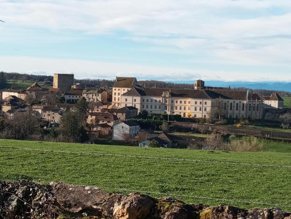 Gite De Belle Vue Semur-en-Brionnais Εξωτερικό φωτογραφία